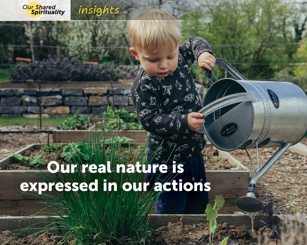 A young about three or four years old wearing a dark blue long sleeved top and dark blue long pants is watering young plants in a raised vegetable garden bed. He is looking down at the plants and is using a large galvanised metal watering can, holding it with two hands as he lifts it to water the plants. Behind him more of the garden is visible with two more raised vegetable garden beds, a dry stone rock wall and what looks like fruit trees in the background. Black text on the image reads Our real nature is expressed in our actions. In a band along the top is a logo for 'Our Shared Spirituality' and the word 'insights'.