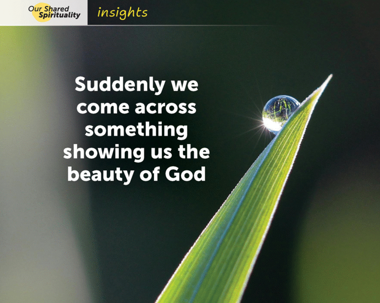 A close up of a blade of grass coming diagonally into frame from the bottom of the image, pointing up towards the top right corner. It has a single water drop on it near the top. The background is mostly dark green and the grass blade and waterdrop are backlit by sunshine. One edge of the waterdrop is sparkling with reflected sunlight. White text on the image reads Suddenly we come across something showing us the beauty of God. In a band along the top is a logo for 'Our Shared Spirituality' and the word 'insights'.